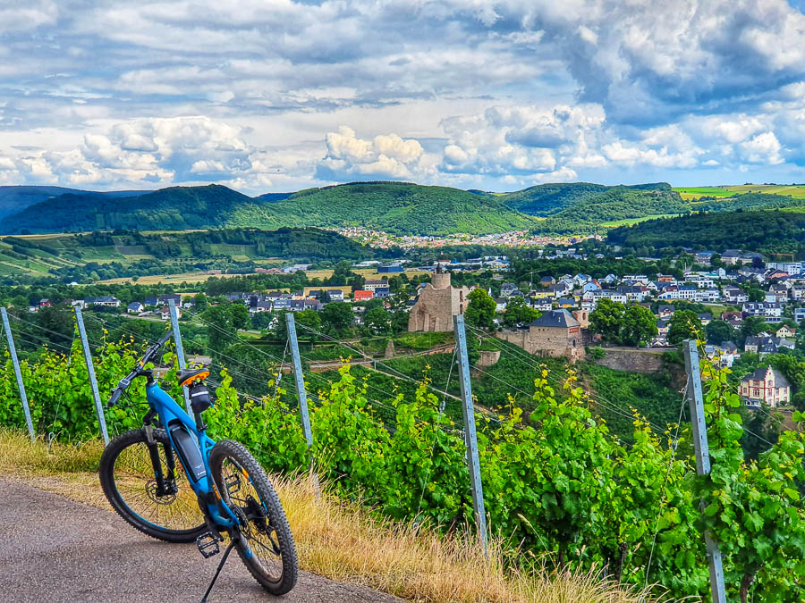 Blaues E-Bike auf einer Straße mit weitem Blick auf die Weinberge und die restliche Landschaft