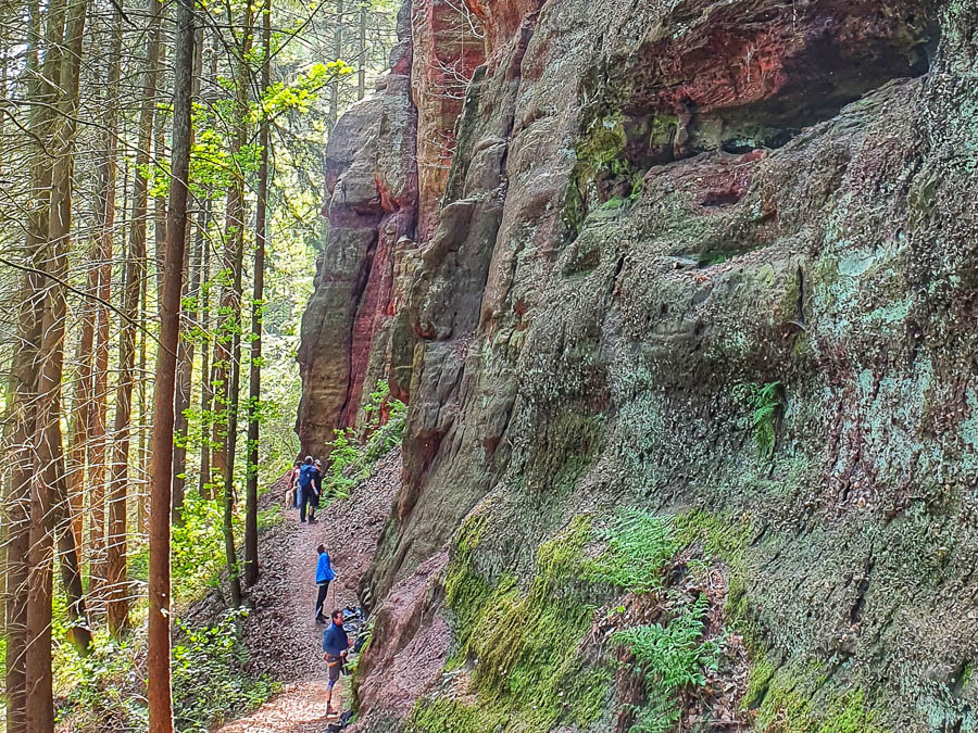 Wanderer auf einem Pfad im Wald neben einer hohen Felswand
